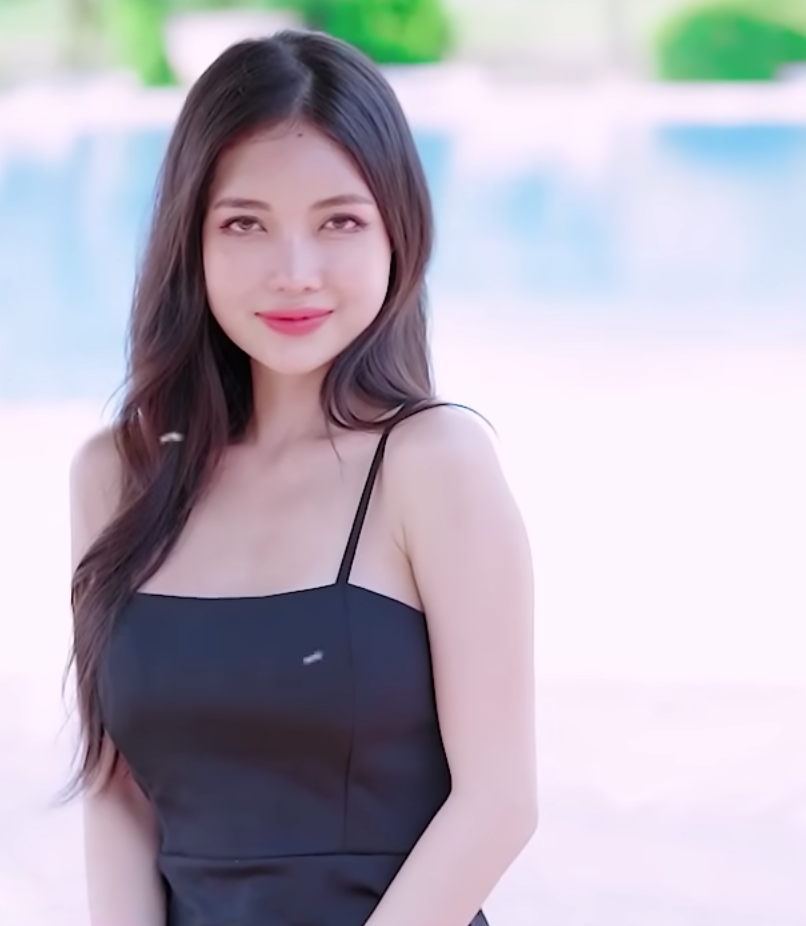 lĩnh vực hoạt động